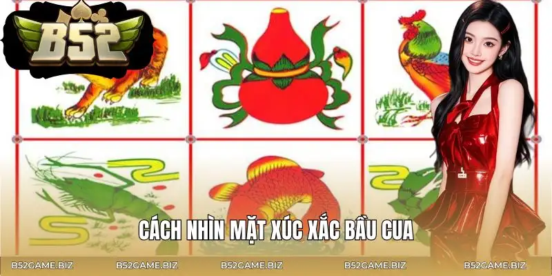 bau-cua-b52-club-cach-nhin-tong-mat-xuc-xac